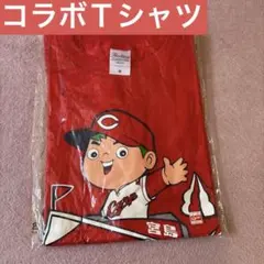 【未使用】NEC Red Rockets サイン入りグッズなどまとめ売り 未使用】NEC Red Rockets サイン入りグッズなどまとめ売り - メルカリ
