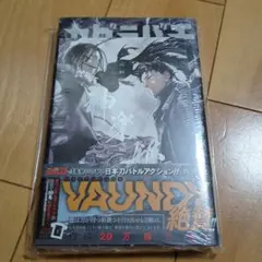 井上雄彦「バガボンド」見開きカラー 表紙 週刊 モーニング 2005年25号