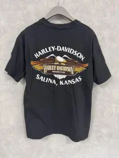 90s HARLEY-DAVIDSON 95周年 Tee ハーレーダビットソン 90s HARLEY-DAVIDSON 95周年 Tee ハーレーダビットソン