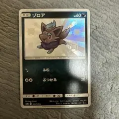 ゾロア S SM8b GXウルトラシャイニー 185/150