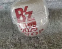 bz ミュージシャン