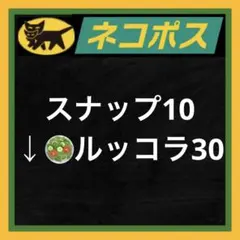 PS様 リクエスト 2点 まとめ商品