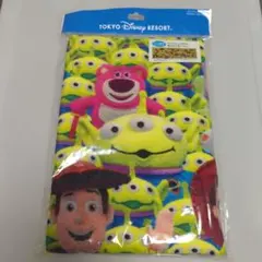 東京ディズニーリゾート ロングフェイスタオル