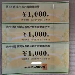 ビックカメラ 株主優待券 3000円分