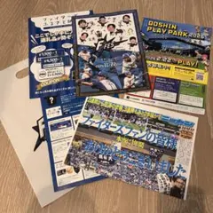 北海道日本ハムファイターズFFES パンフレット類一式 成吉思汗バリン