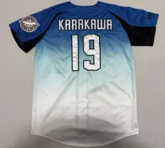 千葉ロッテマリーンズ　ユニフォーム　フリーサイズ　ビジター　デサント DESCENTE（デサント） プロ野球 千葉ロッテマリーンズ Marines