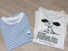 Tシャツ　2枚セット　ミッフィー　スヌーピー メリージェニー　ユニクロ　M