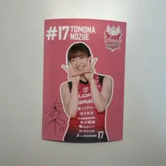 Item thumbnail for item f1ee1dbf-0148-451b-9971-7f38841e17cd