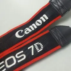 Item thumbnail for item 5c0002fc-d3bf-4e44-aff1-1b3586568721