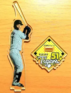 Item thumbnail for item b0a62d3b-ddf4-4056-a8a9-390fe06db334