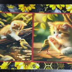 usaコットン生地