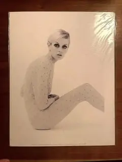 TWIGGY ポスター