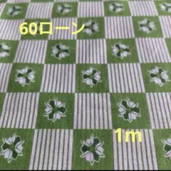 【100cm】鷲沢玲子さん綿60ローンYUWA生地緑チェック花縞