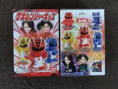 ゲキレンジャーキッズ 理央&メレ ２体セット販売