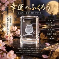 【幸運のふくろう】 置物　特級呪物　占い　霊視　開運　金運　厄除け　守護　霊石