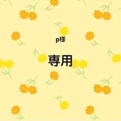 専用おまとめ品