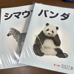 Item thumbnail for item c609fbfd-d0e3-413e-b09d-e52e32e718c5