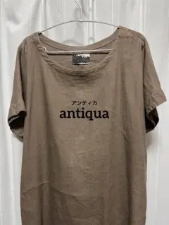 antiqua ブラウン 半袖 フリーサイズ