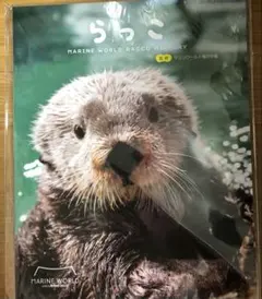 ラッコ リロ グッズ 2025年最新】リロくんの人気アイテム - メルカリ