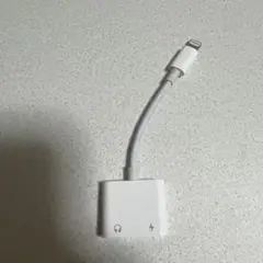 Lightningコネクタ アダプター 2ポート