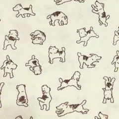 オックス生地チェック