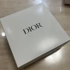 DIOR ノベルティ　ジュエリーケース