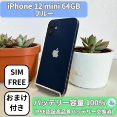 iPhone 12 mini ブルー 64GB｜特典3点付き・即発送 - メルカリ