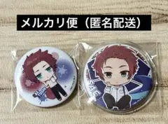 映画ハイ☆スピード Free! 缶バッジコレクション ミニキャラver.凛 宗