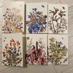 2025年最新】オーストラリアの絵の人気アイテム - メルカリ