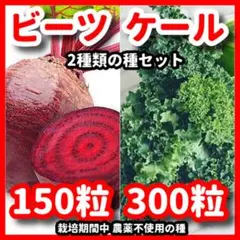 monyo様 リクエスト 4点 まとめ商品