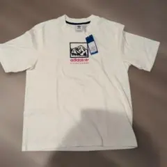アディダスオリジナルス 山のグラフィック Tシャツ　メンズM