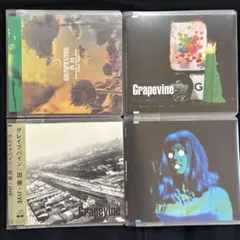2026年最新】Grapevine cdの人気アイテム - メルカリ