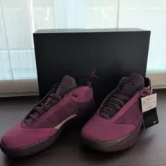 Air Jordan 40 pf ボルドー　ユニバーシティ　バーガンディ
