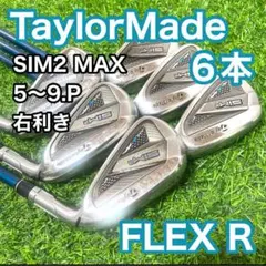 テーラーメイド SIM2 MAX 豪華アイアン7本セット メンズ 右 R 人気 TaylorMade - テーラーメイド SIM2 MAX 豪華アイアン7本セット