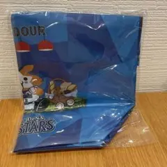 横浜DeNAベイスターズ POMPADOUR コラボ エコバッグ　スターマン