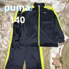 上下セット ジャージ