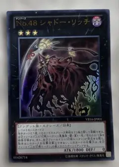 NO.48 シャドー・リッチ