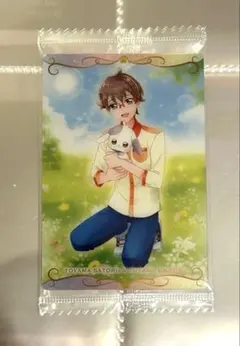 プリキュア ウエハース N16 兎山悟 大福