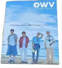 OWV ビジュアルブック Paradise 写真集