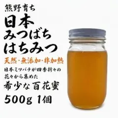 日本蜜蜂　はちみつ　【天然　無添加　非加熱】500g 1個のサムネイル