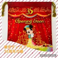 東京ディズニーリゾート 35周年巾着