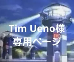 Tim Ueno様　専用ページ　まとめ売り