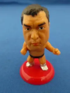 プロ格ヒーローズ　工藤めぐみ①　プロレスフィギュア プロ格ヒーローズ 工藤めぐみ① プロレスフィギュア プロ格ヒーローズ