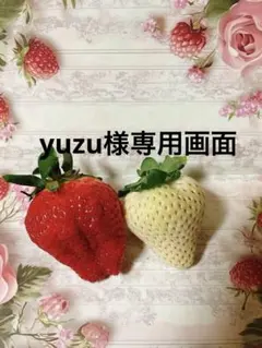 yuzu様 リクエスト 2点 まとめ商品