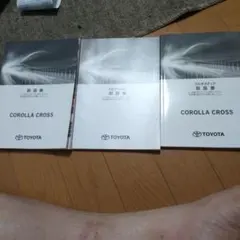 Item thumbnail for item abb66465-8315-46b1-ac61-80397982eb31