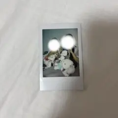 2025年最新】白雪姫乃チェキの人気アイテム - メルカリ