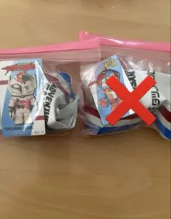 SAMSAM×タツノコプロ　テッカマンブレード
