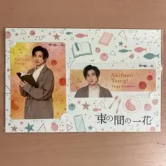 SixTONES 京本大我 束の間の一花 ドラマカードコレクション
