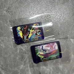 ポケモンフレンダ レックウザ ジガルデ 2枚セット