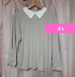 新品わけあり　Availラファーファ　襟つきプルオーバー　４L